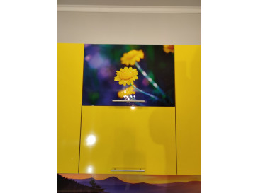 КУХНЯ Dandelion